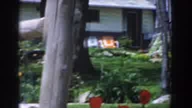 Novi Michigan (1961): View Of Red Flowers And Grey Wooden Fence On A Sunny Day