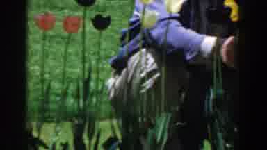 Novi Michigan (1961): Man Wearing Blue Shirt Picks Yellow Flowers On A Bright