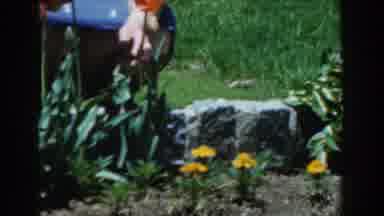 Novi Michigan (1961): Mom And Dad Make Sure the Flowers Are Always Healthy