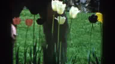 Novi Michigan (1961): Man And Woman Squatting Down And Looking At A Garden