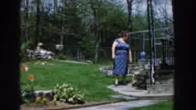 Novi Michigan (1961): Come And Look At The Colorful Flowers Besides The Green Land