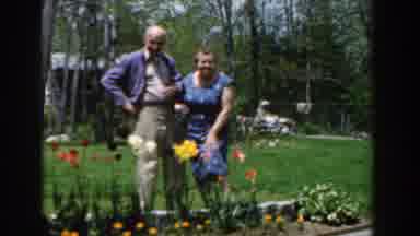 Novi Michigan (1961): Happy Couple Admiring Tulips