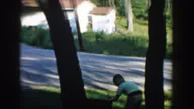 Wisconsin (1957): Boy Playing With Dog In The Trees Near A Lake