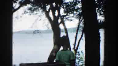 Wisconsin (1957): Lake Trees Branches Above Bushes Water Inquisitive Summer