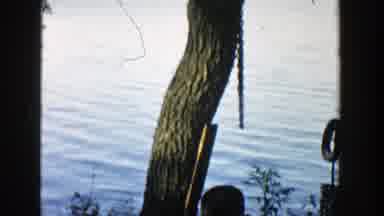Wisconsin (1957): A Small Boy Sitting And Playing Near A Tree Which Is On The