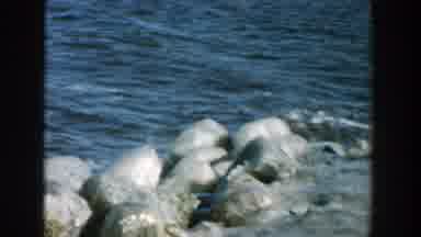 Wisconsin (1957): River Flowing Rapidly In Winter