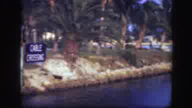 Florida (1945): Beautiful Garden Area With Coconut Trees And Several Colorful