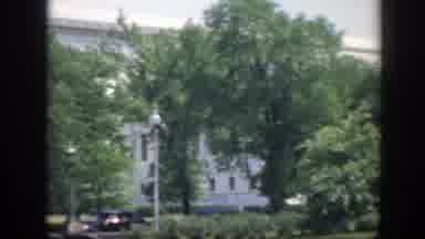Washington DC (1945): A Big White Building Between The Trees And The Doves Eating