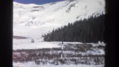 Aspen Colorado (1961): A Snowy Mountain With Tall And Thin Dark Green Trees