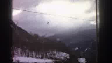 Aspen Colorado (1961): View Of Snow Covered Trees And Mountain On A Cloudy Day