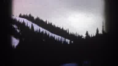Aspen Colorado (1961): Snowy Slope Decorated With Fir Trees On A Bright Day