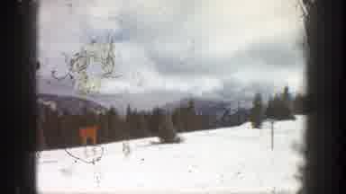 Aspen Colorado-1961: Snowy Mountain Slope With Trees And Signpost