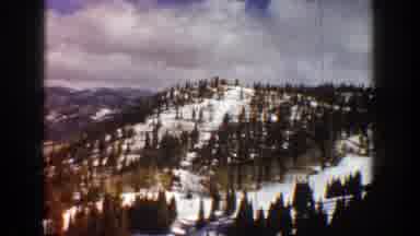 Aspen Colorado (1961): Mountain Full Of Snow And Pine Trees On A Sunny Morning