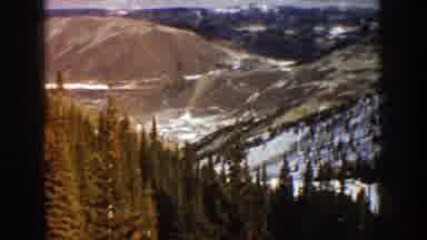 Aspen Colorado (1961): A Big Forest Full Of Snow And Many Trees With Mountains
