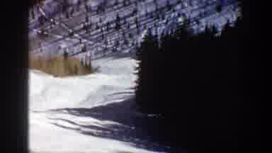 Aspen Colorado (1961): View Of Tall Green Trees And Fresh Snow On A Bright Sunny