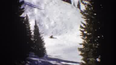 Aspen Colorado (1961): View Of Large Evergreen Trees And People Skiing Downhill On