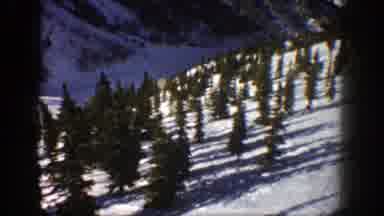 Aspen Colorado (1961): Landscape Of Lots Of Christmas Trees On The Snowy Field On