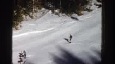 Aspen Colorado (1961): The Skiers Are Skiing Down The Snowy Hill