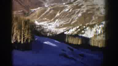 Aspen Colorado (1961): White Snowy Mountains And A Lot Of Green Trees Everywhere