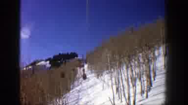 Aspen Colorado (1961): Approaching View Of Brown Trees Ski Lift Cable And Snow