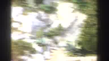 Italy (1960): Quick View Of Several White Flowers Mountains And Trees