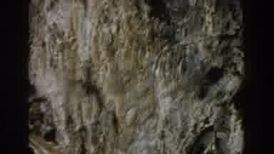 Italy (1960): View Of Green Moss Growing On Rocky Grey Boulder On A Clear Day