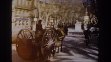 Italy (1960): View Of Wooden Horse Drawn Buggy Carrying Brown Barrel On A Sunny