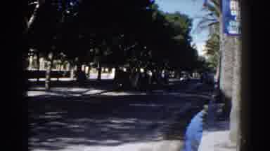 Italy (1960): A Lonely Street Next To A Tree Path And A Person Riding A Bike On A