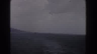 Italy (1960): Flock Of Birds On The High Seas