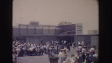 California-1962: Crowds Of People Sitting Down To Watch An Outdoor Dolphin Show