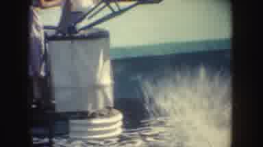 California (1962): A Repetitive Black Dolphin Show Together With Two Men In A