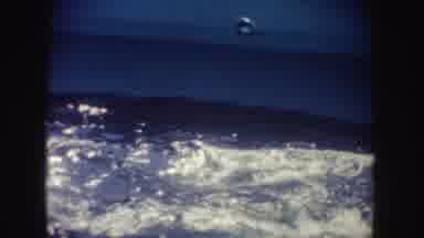 California (1962): Whale Jumping At A Marine Aquarium