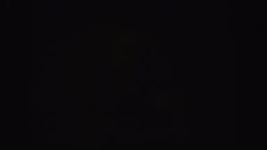California (1962): A Pig During The Night