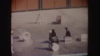 California (1962): View Of Seal Balancing White Ball On Nose On A Sunny Day