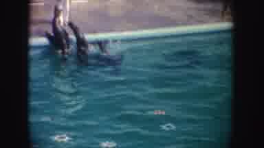 California (1962): Seals Choreographed Swimming In A Pool