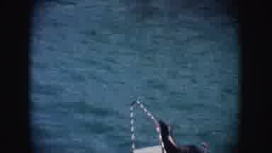 California (1962): View Of Seal On White Platform Near Water On A Clear Day