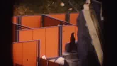 California (1962): An Enclosure At The Zoo For People To Observe Animals