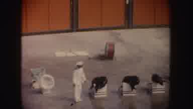 California (1962): Marine Animals Making Presentations
