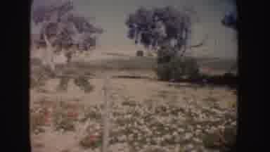 California (1962): In A Forgotten Abandoned Abused Space Of Land Lay The Secrets