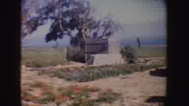 California (1962): Rural And Country Landscape With Old Cars Parked On A Spring
