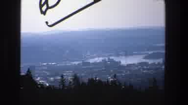 Stockholm Sweden (1975): Landscape Of A Forest With A Lake In The Background Video