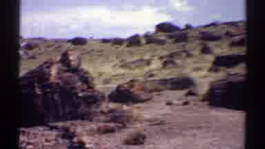 Arizona (1969): Three People Walk Down Dirt Path Amongst Pieces Of Cut Down Trees