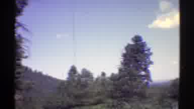 Arizona (1969): Driving On The Highway With Beautiful View Of Trees And Blue Sky