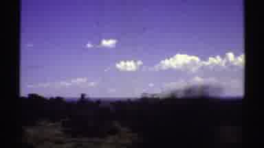 Arizona (1969): Tall Trees And Live Bushes And Grass On The Roadside