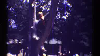 Arizona (1969): A Young Boy Wearing A Blue T-Shirt Is Climbing Up A Tree Trunk In