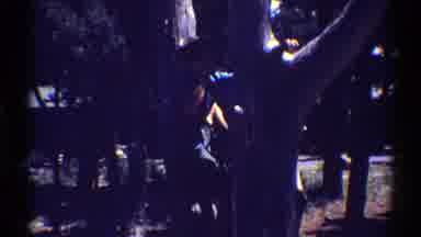Arizona (1969): Child Climbs Tree Presumably In Search Of Some Object Or Animal