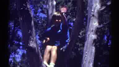 Arizona (1969): The Young Child Climbed Up And Sat In The Tree While His Mother