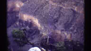 Arizona (1969): View From The Top Of Mountains Trees And Vegetation