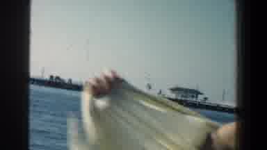 Baltimore Maryland (1961): On A Beach With A View Of The Pier And An Arm Trying To