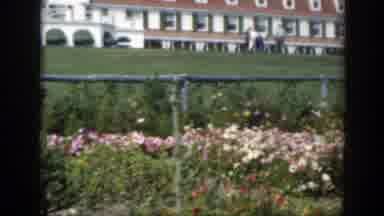 Montreal Canada (1950): Men In A Green Field Full Of Flowers On A Sunny Day